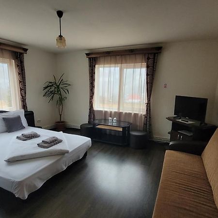 Appartamento Apartament Tiatim Vatra Dornei Esterno foto
