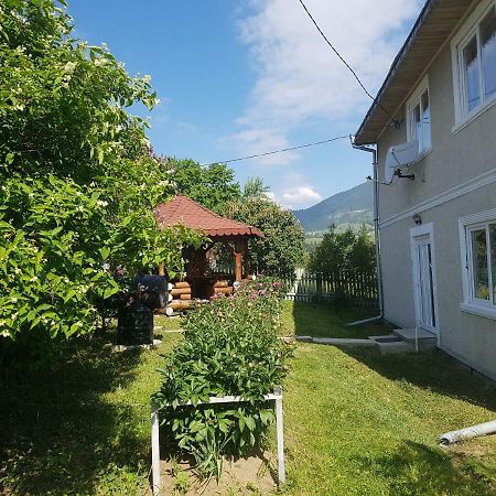 Appartamento Apartament Tiatim Vatra Dornei Esterno foto